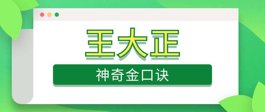 王大正神奇金口诀 28集