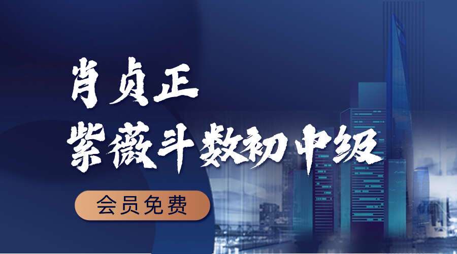 肖贞正紫薇斗数课程初中级视频23集