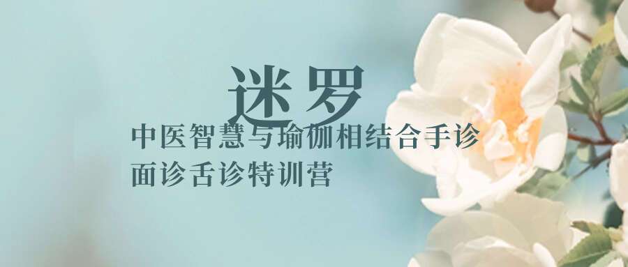 迷罗-中医智慧与瑜伽相结合手诊面诊舌诊特训营-35节原价1298