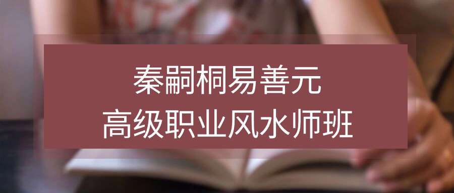 秦嗣桐易善元高级职业风水师班