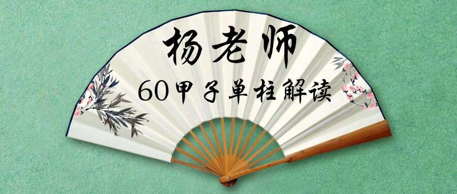 杨老师60甲子单柱解读视频2集