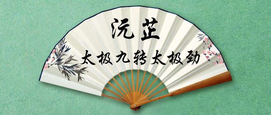 沅芷太极九转太极劲 15集