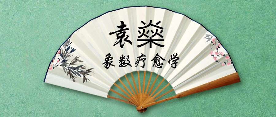 袁燊象数疗愈学