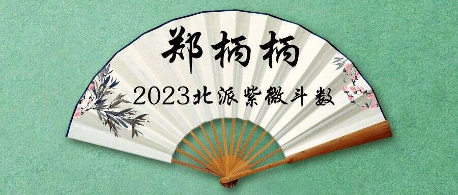 郑柄柄2023北派紫微斗数102集教程视频