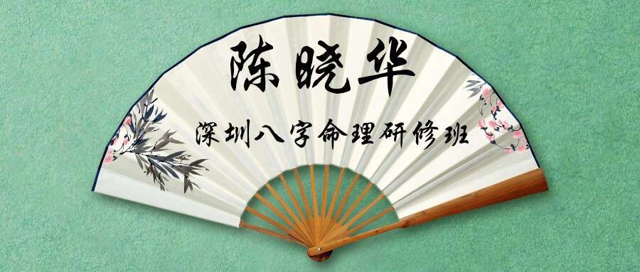 陈晓华《深圳八字命理研修班2022》14集