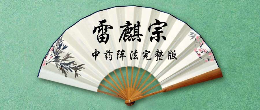 雷麒宗《中药阵法完整版》（九鼎易学）