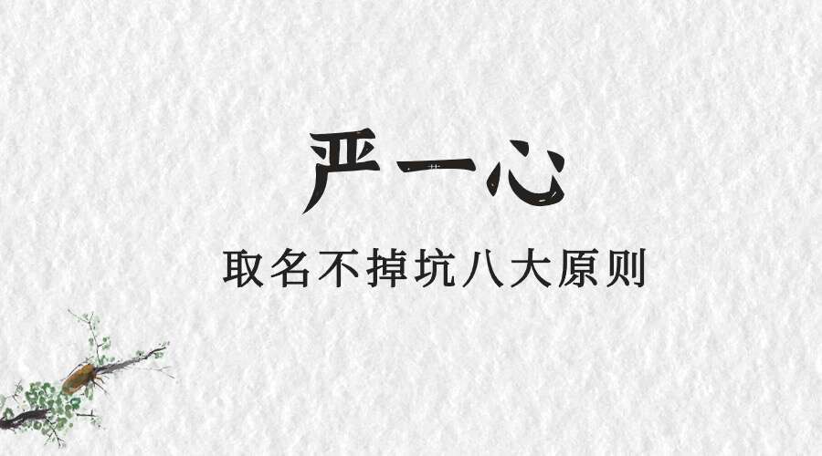 严一心取名不掉坑八大原则视频8集