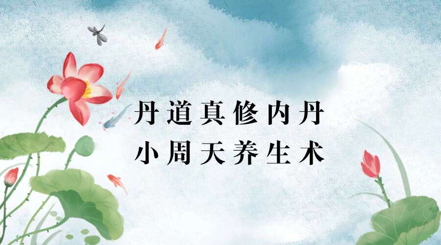 丹道真修内丹小周天养生术 初阶+中阶+高阶