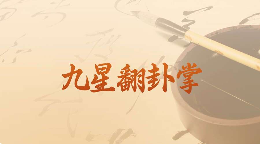 辰戌风水堂金秋老师九星翻卦掌以及应用视频10集