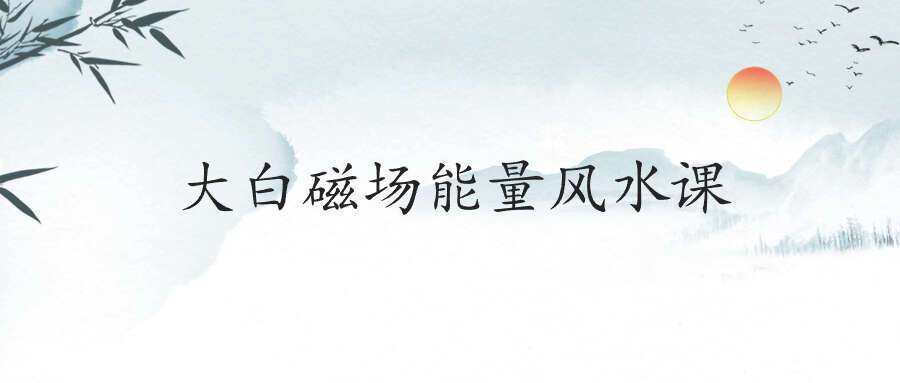 大白磁场能量风水课
