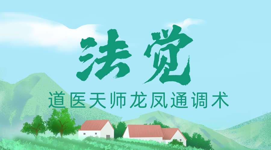 法觉老师《道医天师龙凤通调术》第4期