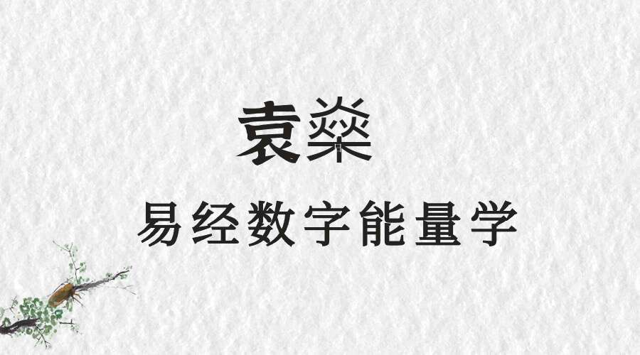 袁燊-易经数字能量学