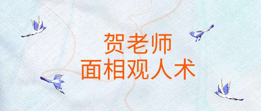 贺老师面相观人术13集