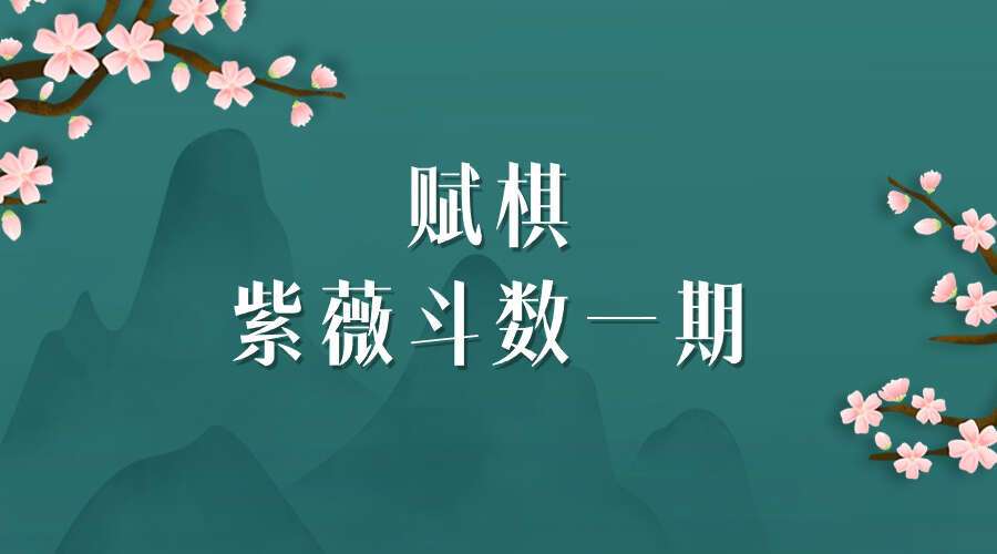 赋棋紫微一期全68讲