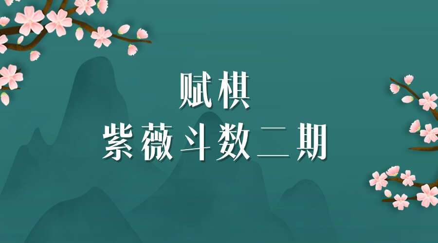 赋棋-紫薇斗数二期