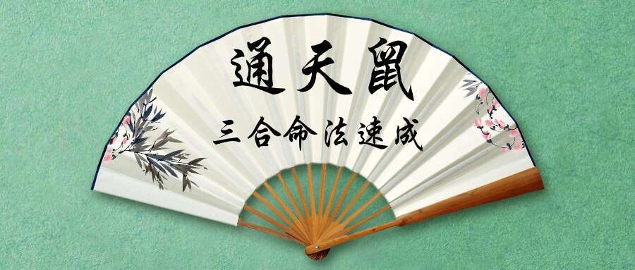 通天鼠《三合命法速成》30集