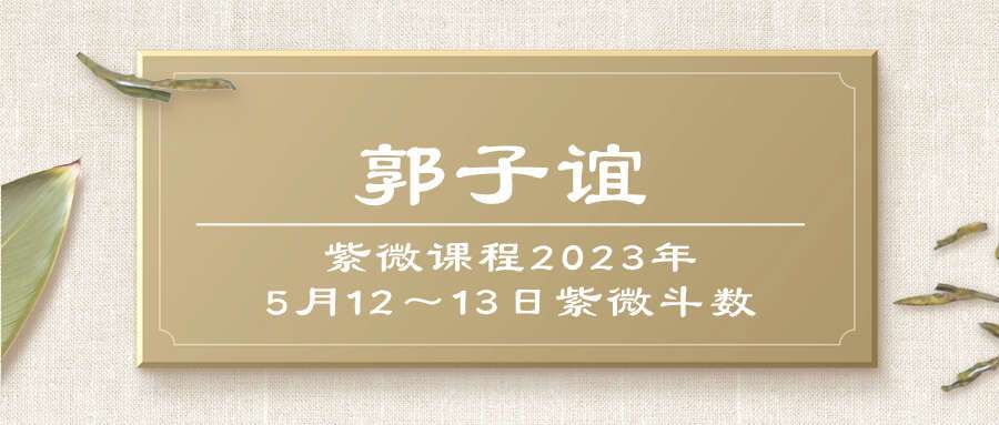 郭子谊《紫微课程2023年5月12～13日紫微斗数》直播