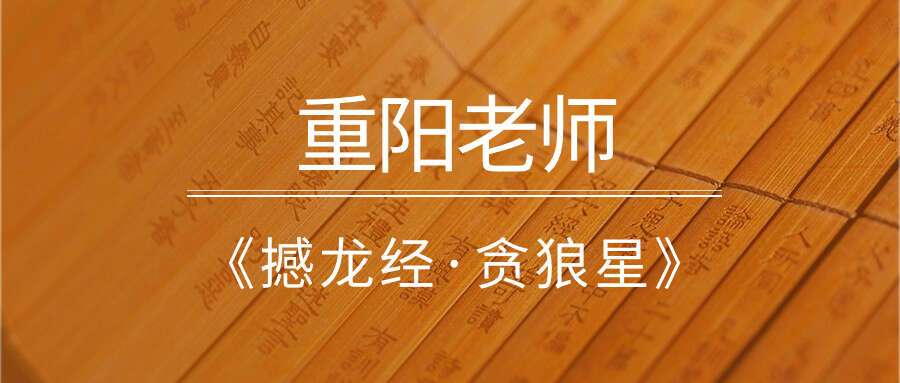 重阳老师4《撼龙经·贪狼星》10集