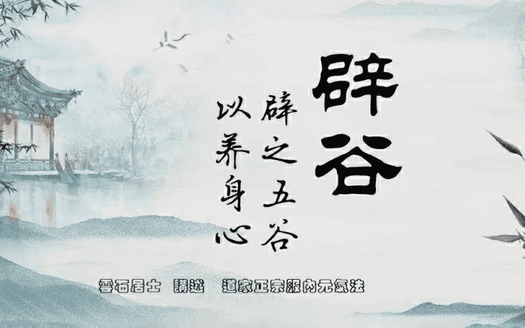 杨光 道家正宗服气辟谷术14集