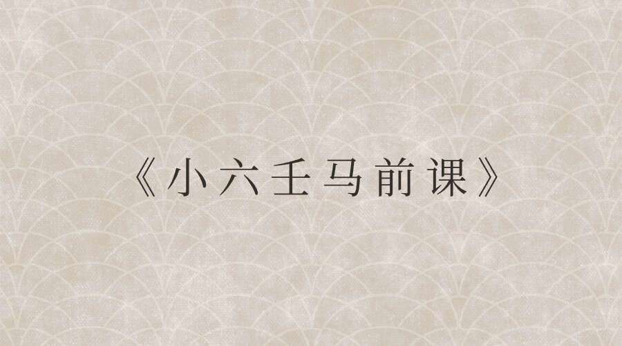 《小六壬马前课》36集