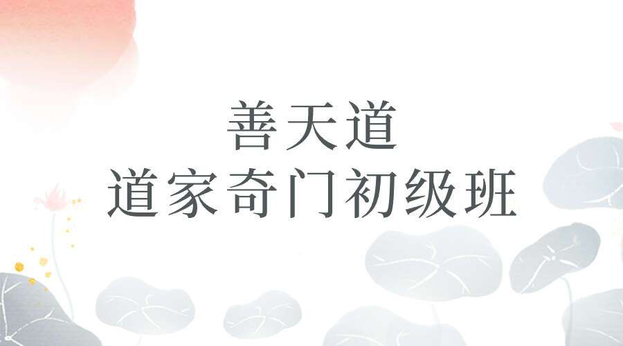 善天道道家奇门初级班视频18集+课件
