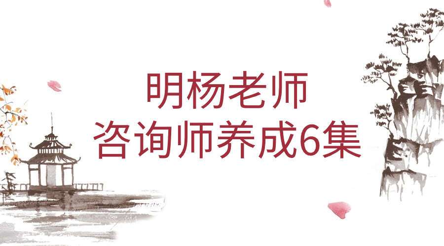 明杨老师 咨询师养成6集