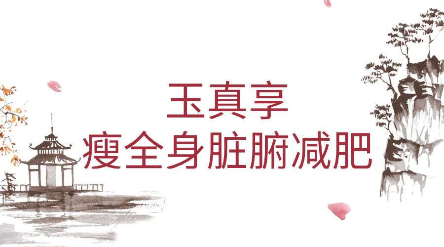 玉真享瘦全身脏腑减肥 12集