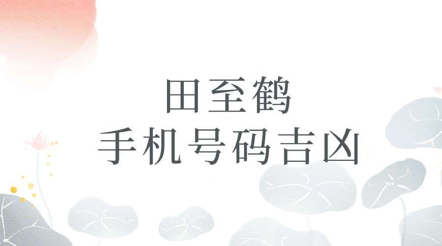 田至鹤 数字是有能量的 手机号码吉凶