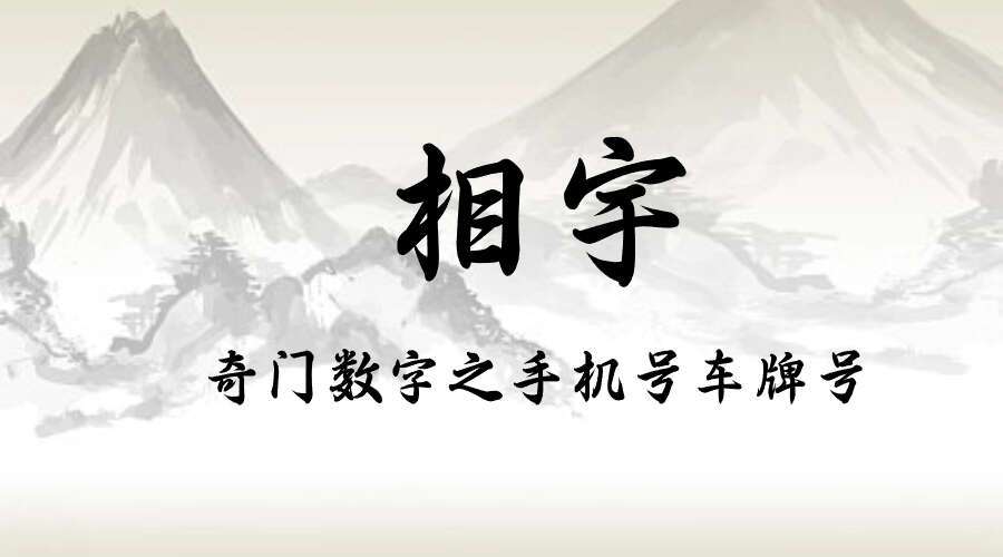 相宇《奇门数字之手机号车牌号》23集
