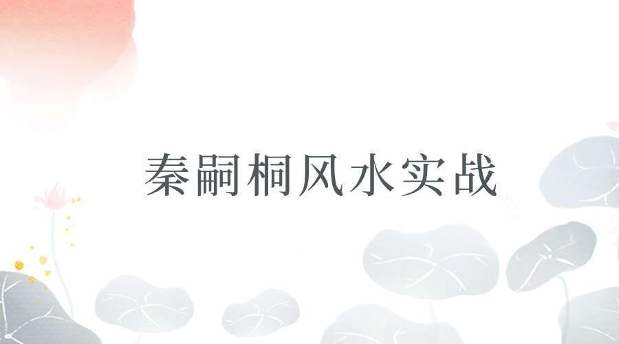 秦嗣桐风水实战直播回放课程13集