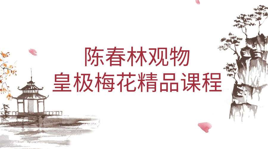 陈春林～观物｜皇极梅花精品课程