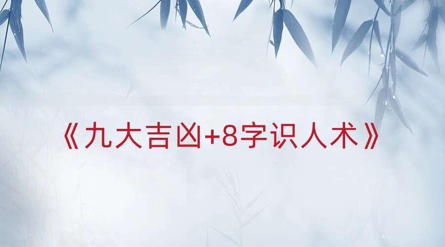 《九大吉凶+8字识人术》17集