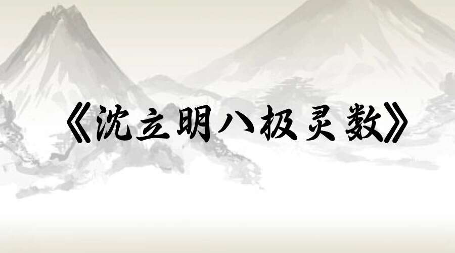 《沈立明八极灵数》11集