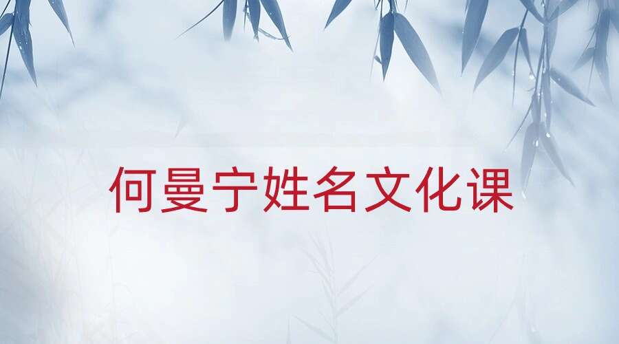 23年何曼宁姓名文化课