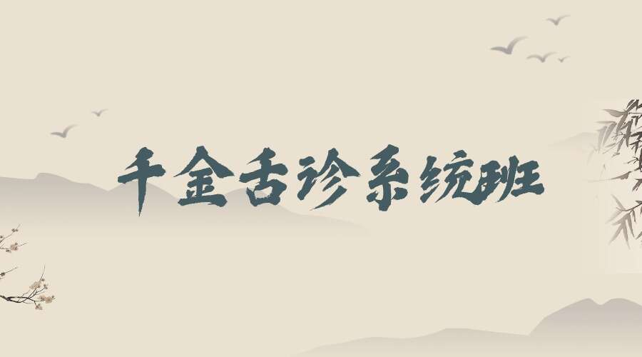 千金舌诊系统班视频22集