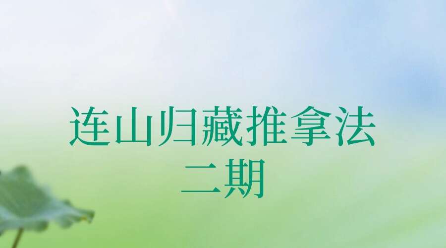 易医奇术：连山归藏推拿法 二期