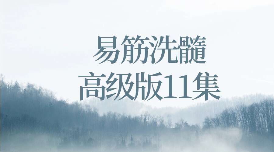 易筋洗髓高级版11集