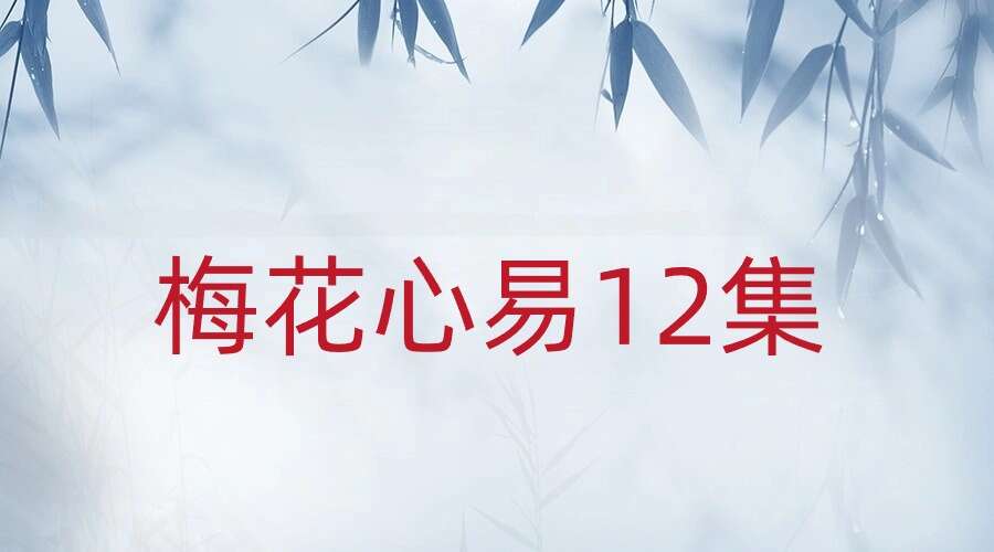 德置教育梅花外应 梅花心易12集视频