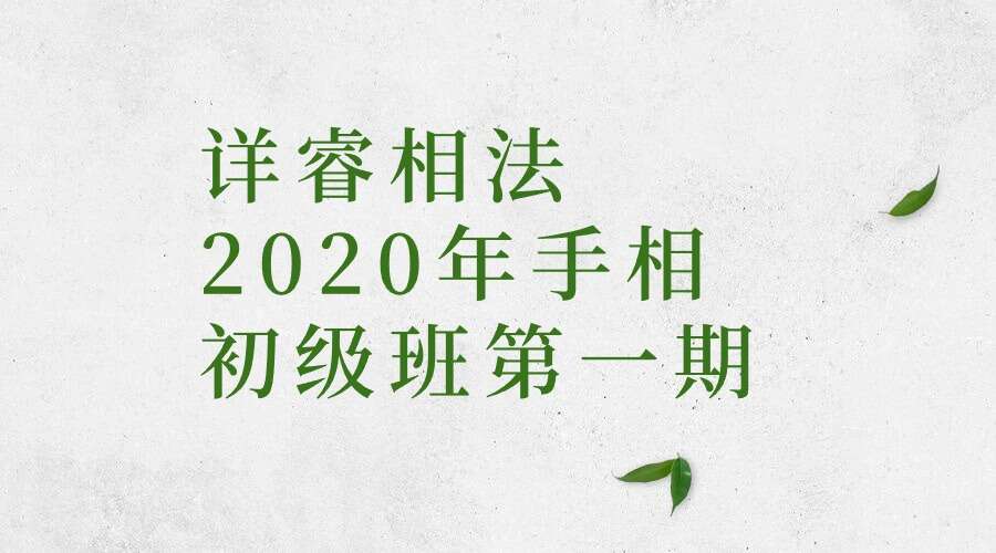详睿相法2020年手相初级班第一期
