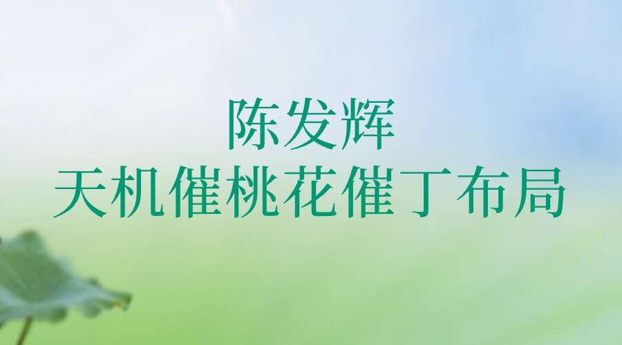 陈发辉天机催桃花催丁布局全3集