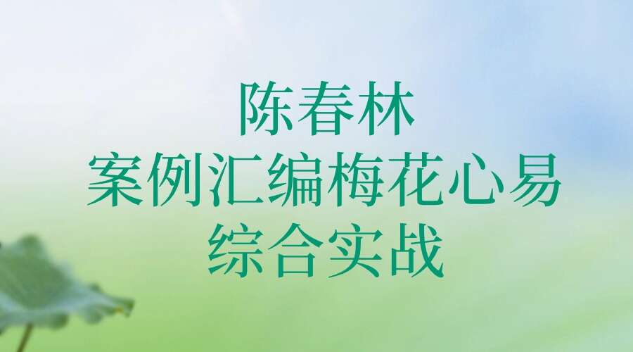 陈春林《案例汇编梅花心易综合实战》81集