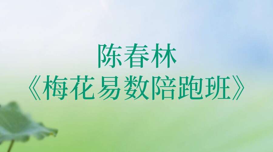 陈春林《梅花易数陪跑班》39集【原版】