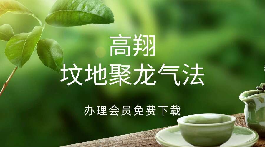 高翔 坟地聚龙气法 视频+文档