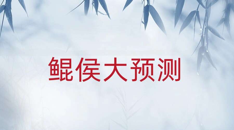 鲲侯大预测