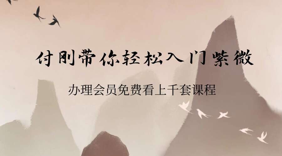 付刚紫微牌带你轻松入门紫微  8集视频 （九鼎易学）