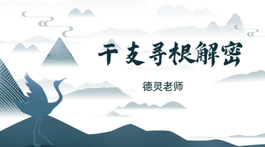 夏光明弟子 德灵老师 干支寻根解密视频+文档（九鼎易学）