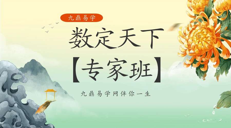 数定天下【专家班】视频22集 【原版】(九鼎易学)