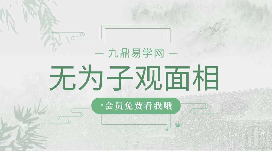 无为子观面相 视频99集（九鼎易学）