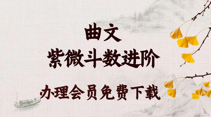 《曲文紫微斗数进阶》20集