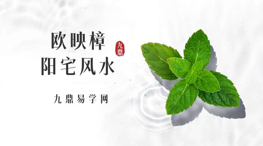 欧映樟阳宅风水 20集视频（九鼎易学）